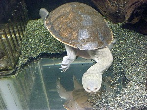20141129(15).jpg