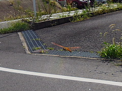 conv1688.JPG