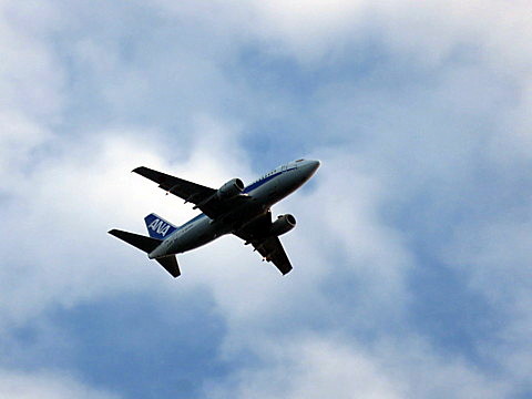 IMG_6551.jpg