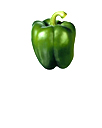 green_pepper_w102.jpg