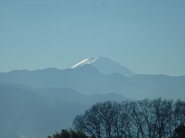 DSC00410_R.JPG