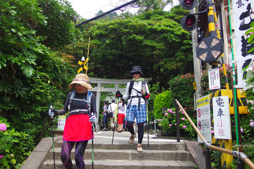 IMGP0411.jpg
