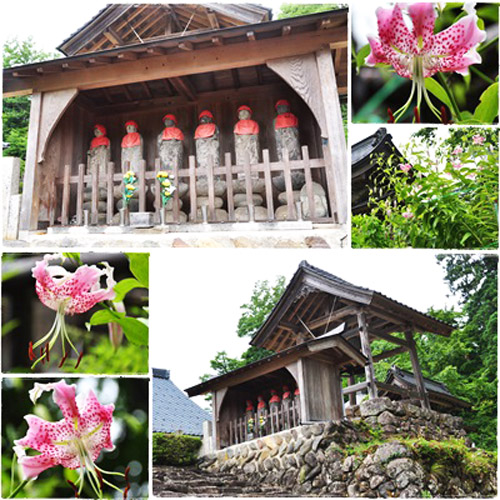 ゆりの花
