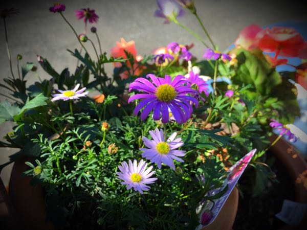 rblog-20151025172805-00.jpg