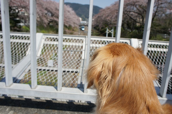 2014-0421-11.jpg