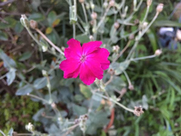 rblog-20160710211846-06.jpg
