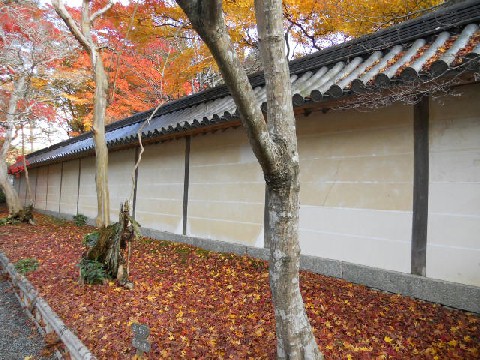 2012-11 二尊院本堂敷地.jpg