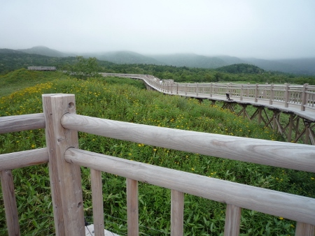 P1030146 (450x338).jpg