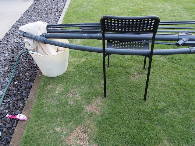 PA060004.JPG