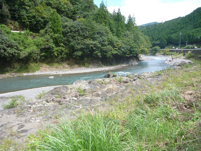 resize0008.jpg