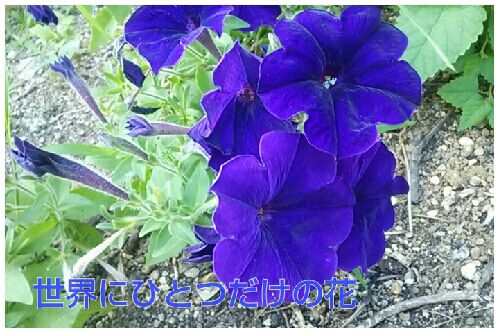 rblog-20160714210643-00.jpg