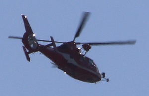 IMG_5850-15.jpg