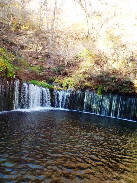 10-29 siraitonotaki-114.JPG