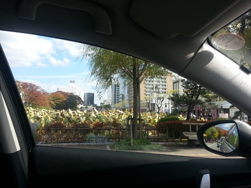 20131101_122108.jpg