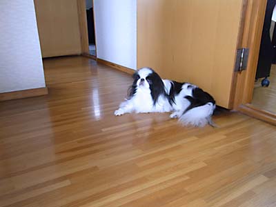 20130606.jpg