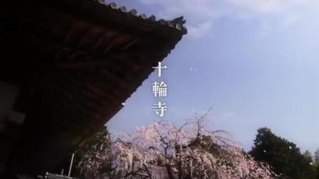 十輪寺2014年春.jpg
