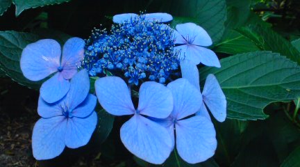 20120630141034.jpg