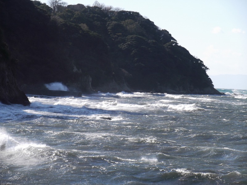 DSCF1065.jpg