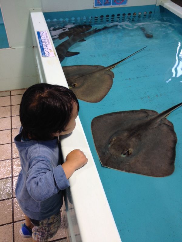 rblog-20140526142222-03.jpg