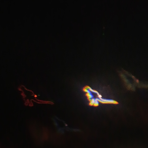 2012081419530000.JPG