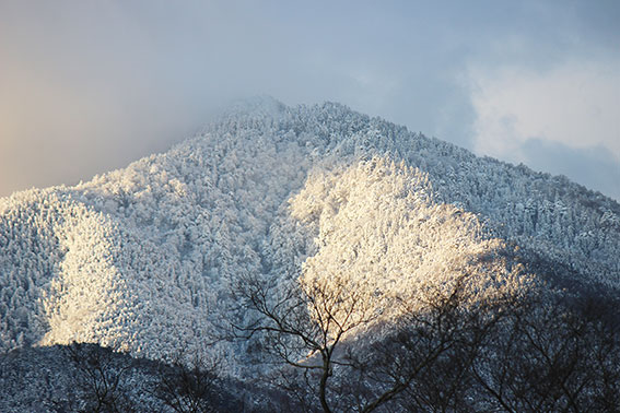 高越山2014/12/06-2