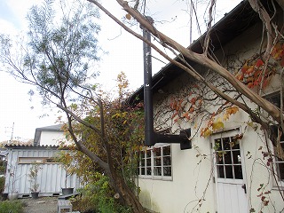IMG_4324ss.jpg