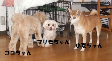 DSCF5311.JPG