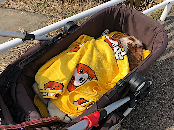 rblog-20180227113615-06.jpg