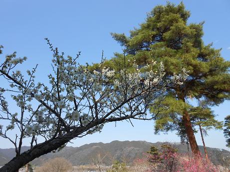 DSCN1936.jpg
