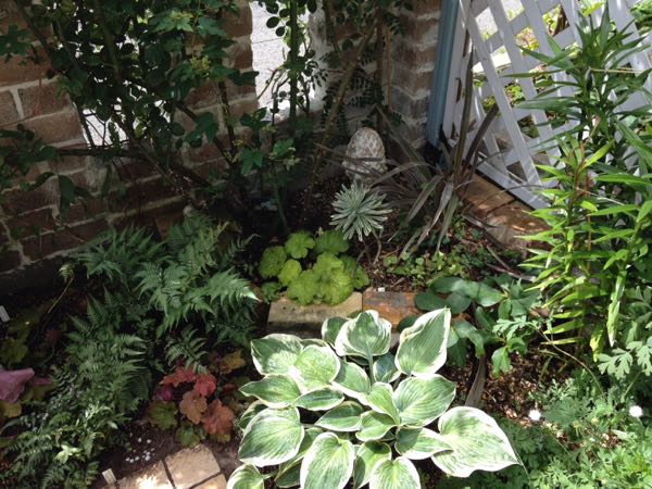 rblog-20160221152503-00.jpg