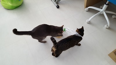 20161025_111729.jpg