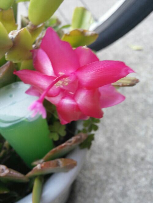 rblog-20190322183018-01.jpg