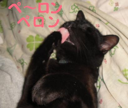 ぺろん くろ.jpg