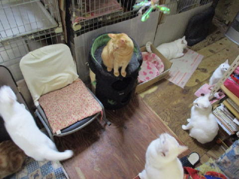 16a0337.jpg