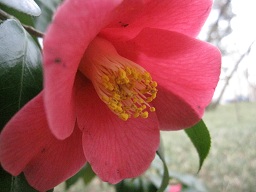 IMG_8060.JPG