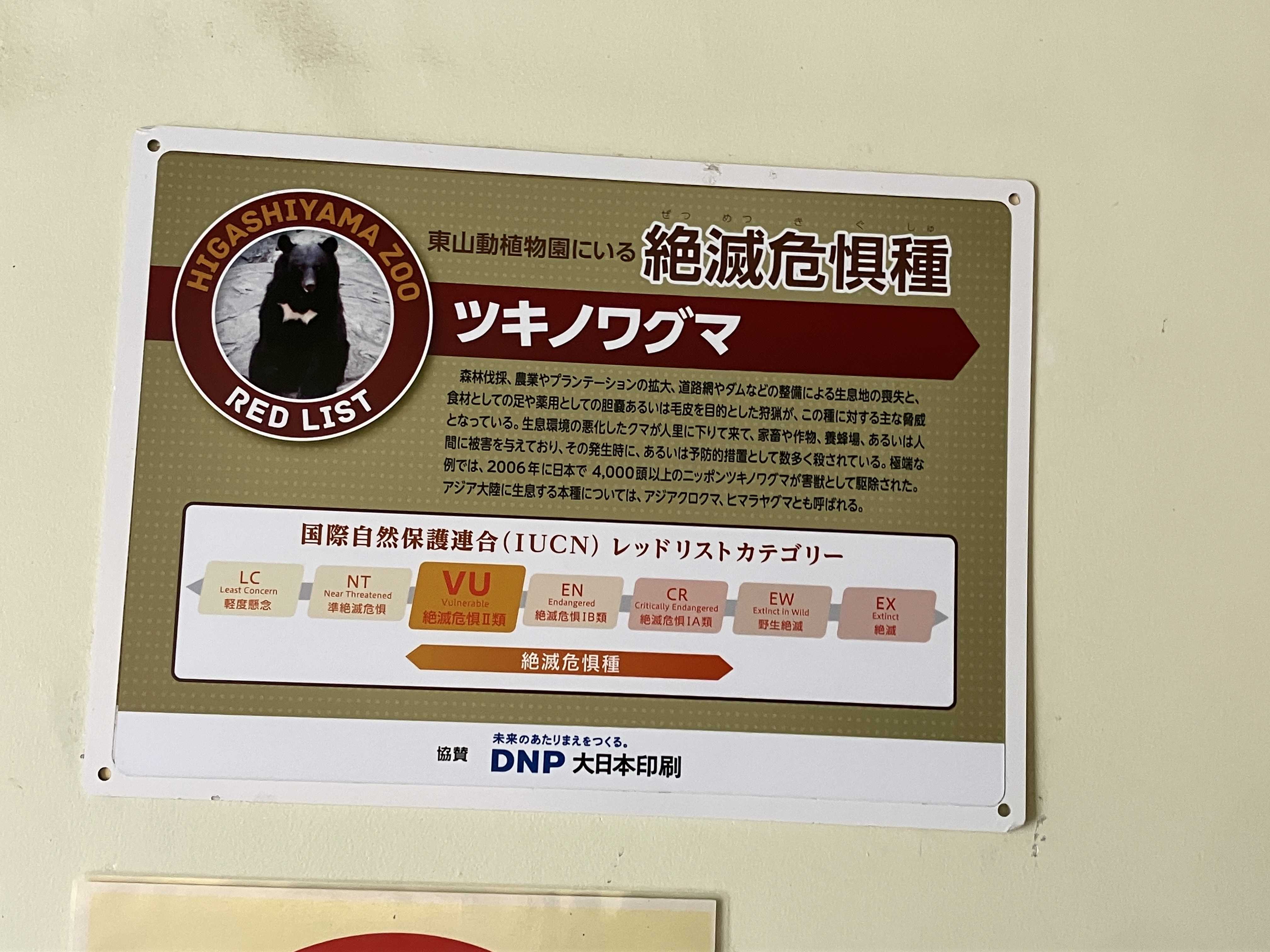 人間観察？ルイちゃん ツキノワグマ | 今日は誰と会えるかな だいたい