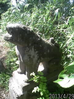 頼政神社の狛犬さま７