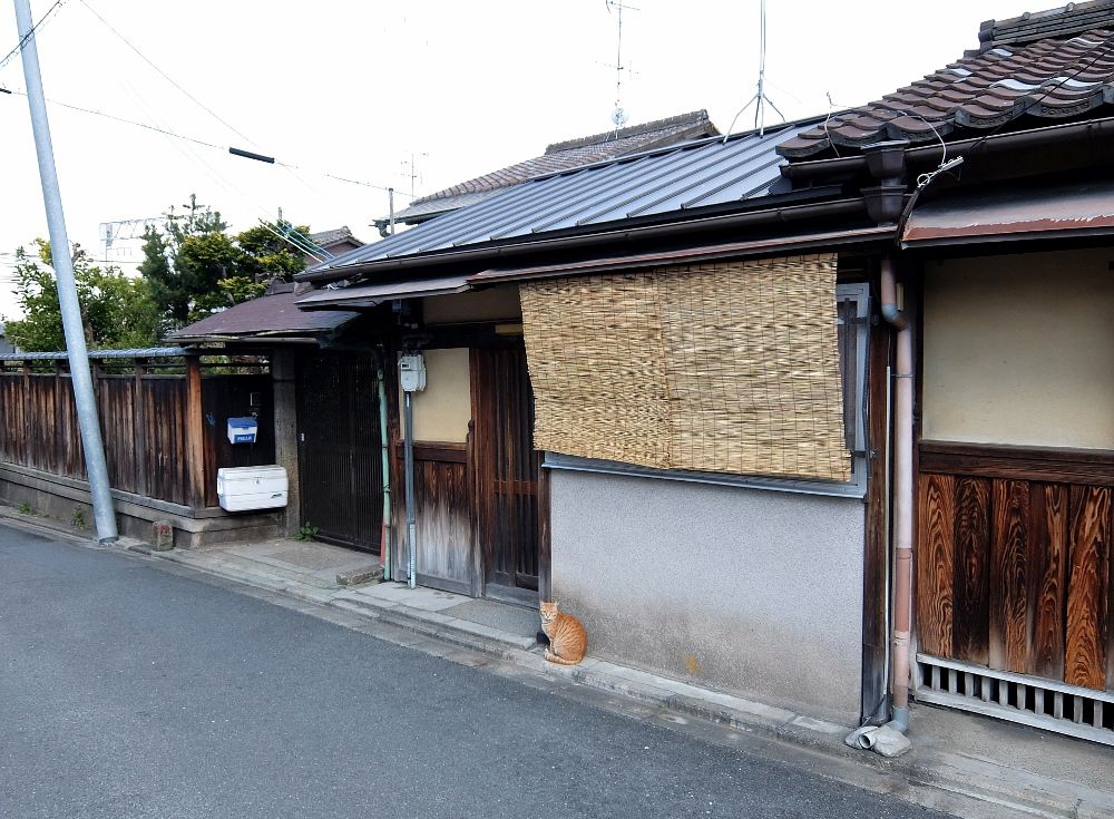 京都 伏見稲荷 猫 ネコ 京都の町家 