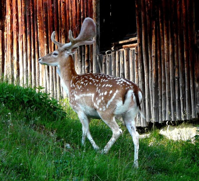 0719 Lovely.jpg