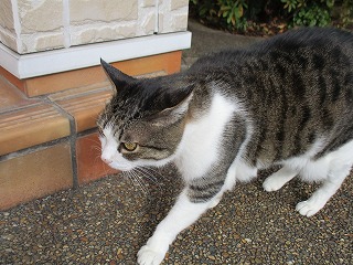 IMG_3795ss.jpg