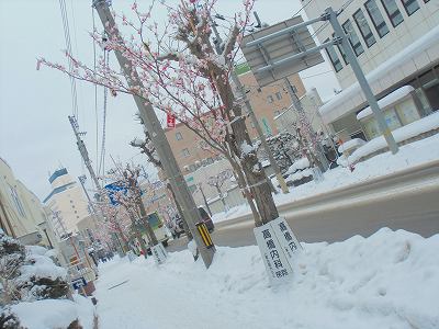 グルメ 017.jpg