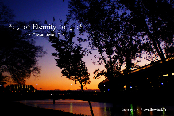 Photo by swallowtail　G.jpg