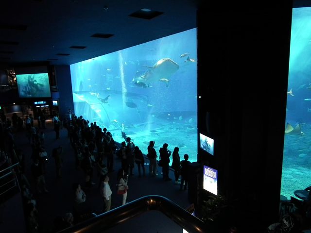DSCF9210.JPG
