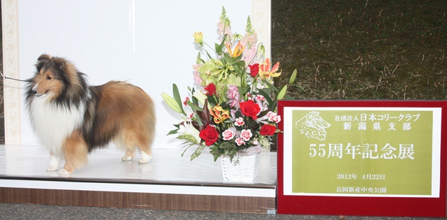2012-4-22　JCC新潟55周年記念展.JPG
