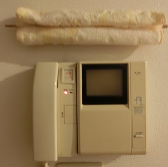 CIMG7457.jpg