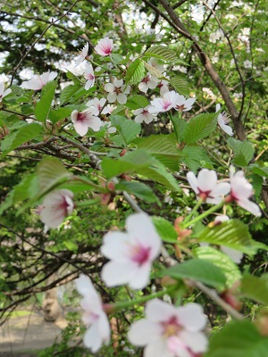 05