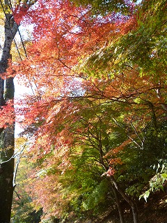 P1260763ss.jpg