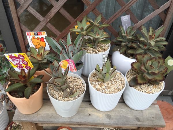 rblog-20160922195400-01.jpg