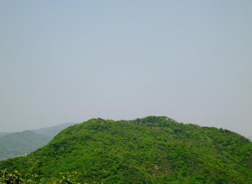135 (500x366).jpg