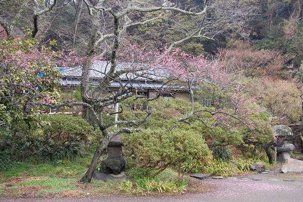 DSC_0553邸宅.jpg